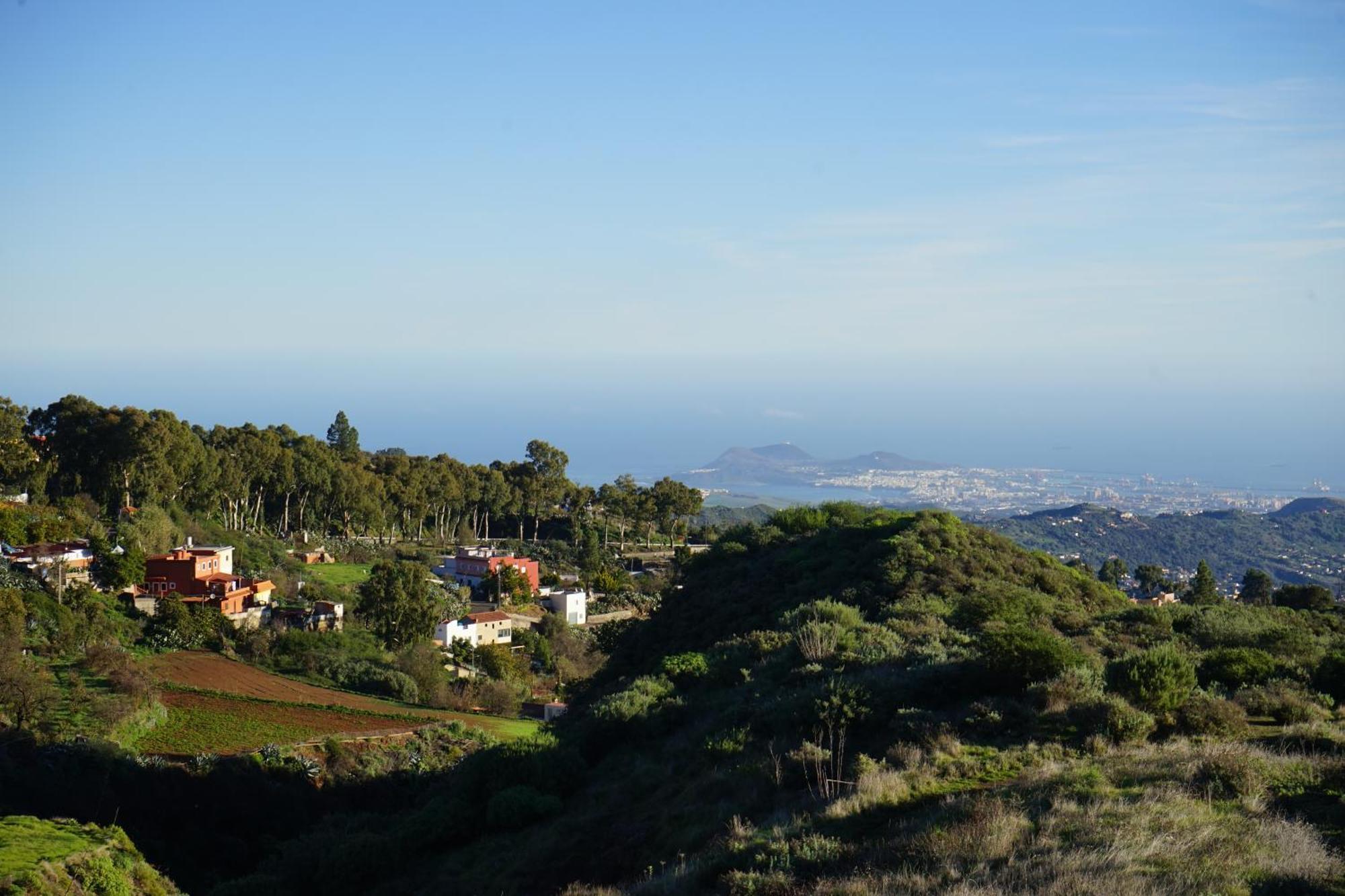 La Casita Vandrehjem Vega de San Mateo Eksteriør billede