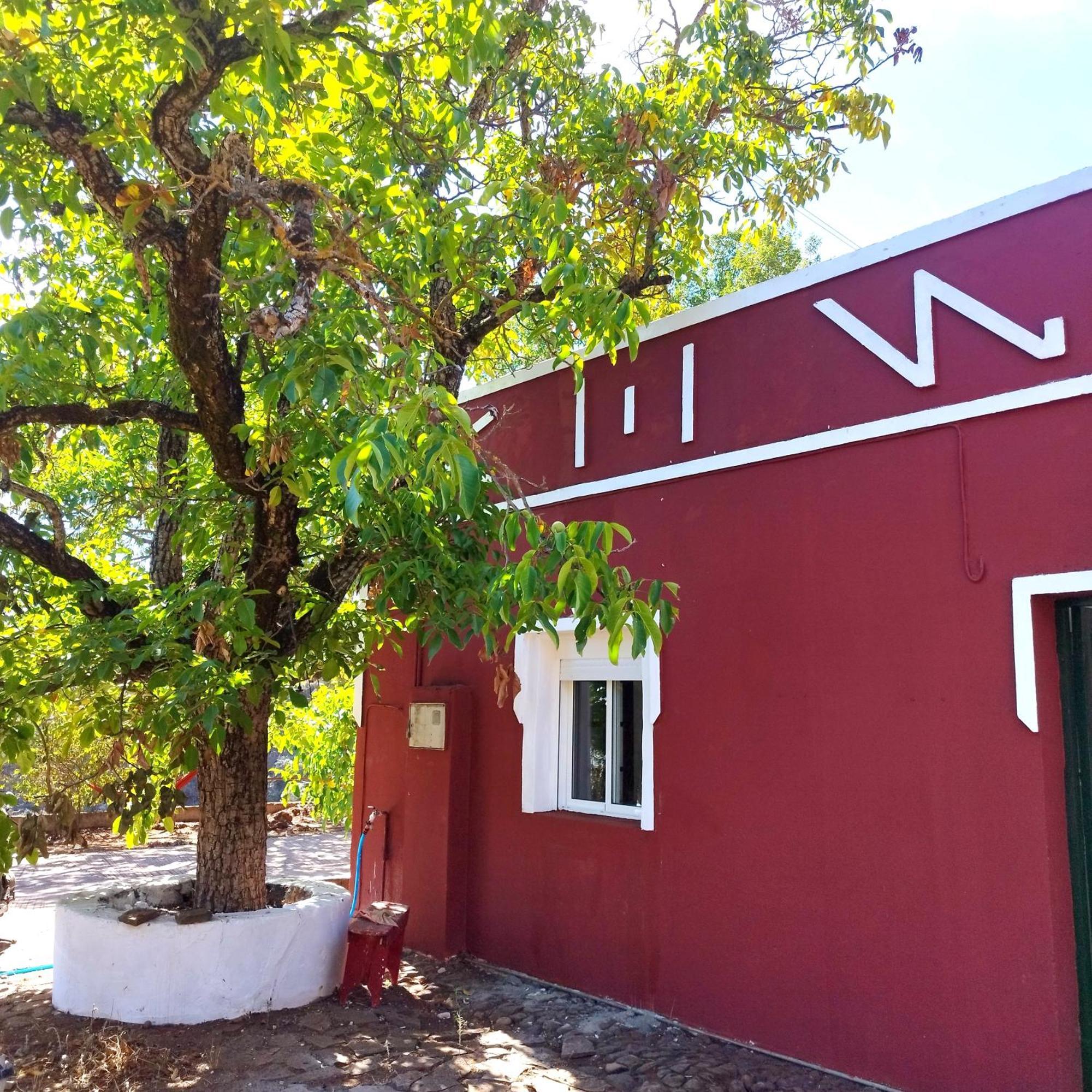 La Casita Vandrehjem Vega de San Mateo Eksteriør billede